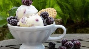 Extra Virgin Olive Oil Ice Cream