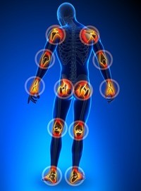 Olive Oil Antii Inflamatory Properties