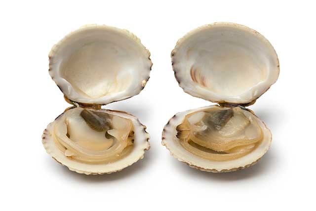 Calm A Nutrient Based Food