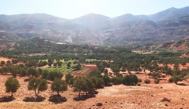Morocco Gold Produced In Beni Mellal. Health and the environment.