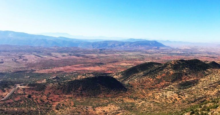 New Harvest For Morocco Gold