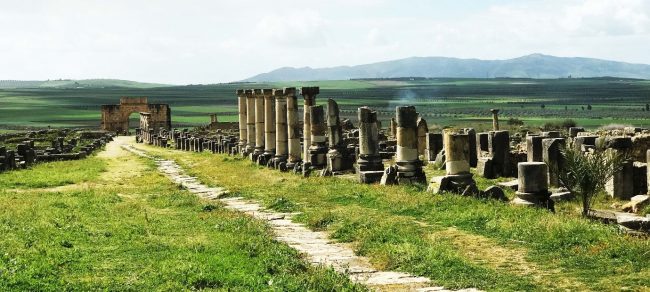 Volubulis Morocco