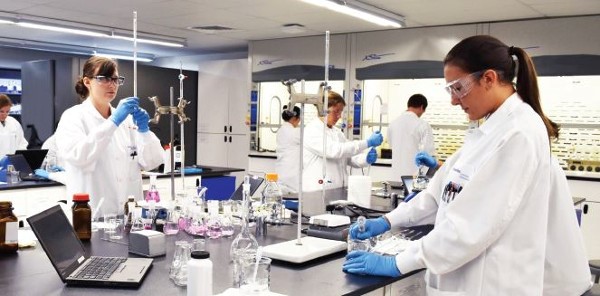 Labratory Testing Olive Oil