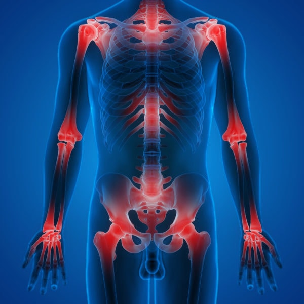Best Olive Oil Fights Inflamation