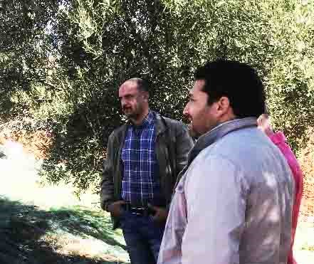 Olive Oil Meetings