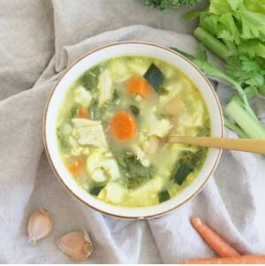 Gut Healthy Soup