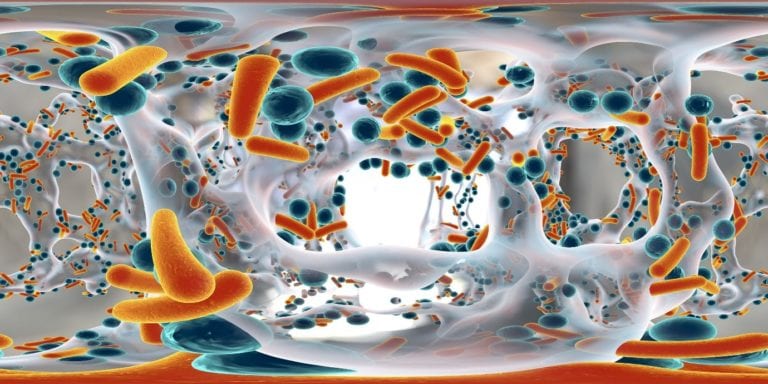Fighting Infection Causing Biofilms