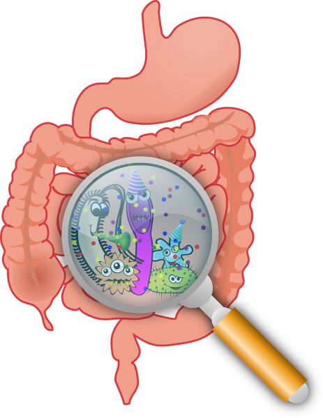 Improve Your Gut Microbiome