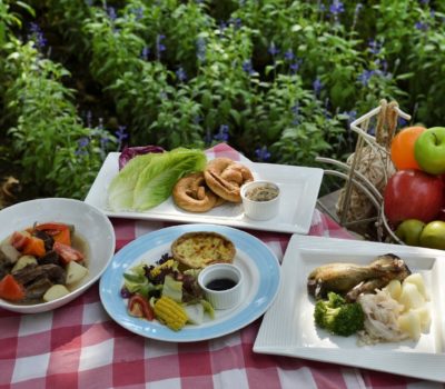 Picnic The Mediterranean Diet Way